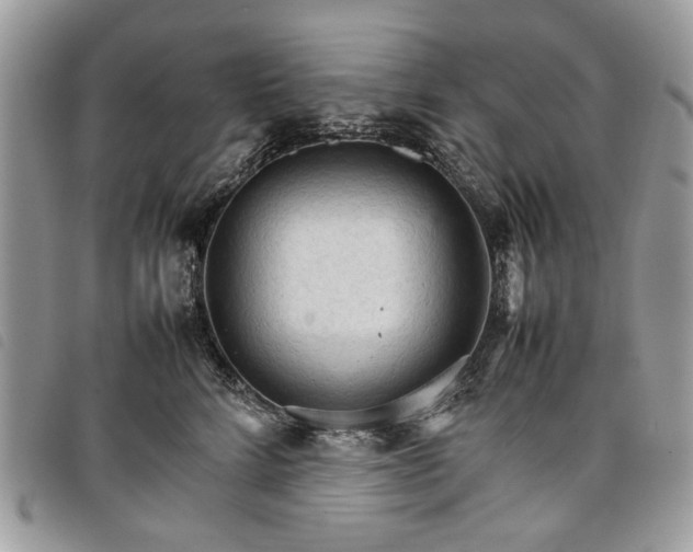 X0000098040712200804071442