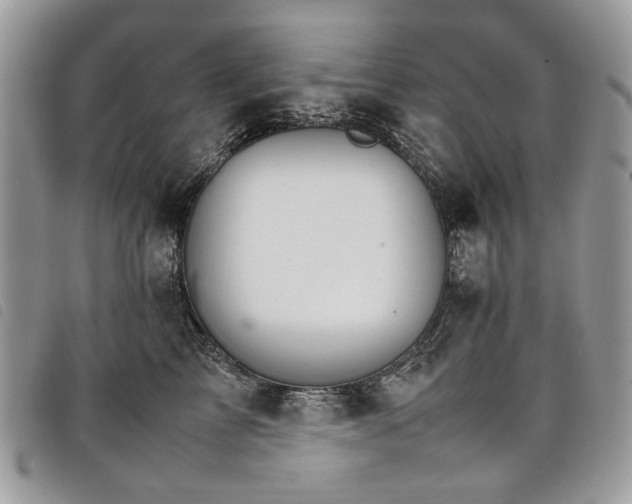 X0000098040713200804071441