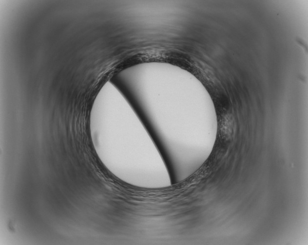 X0000098040715200804071441