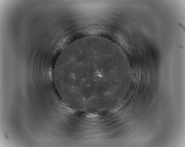 X0000098040718200804071441