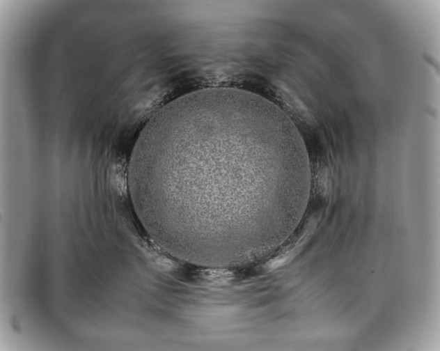 X0000098040719200804071441