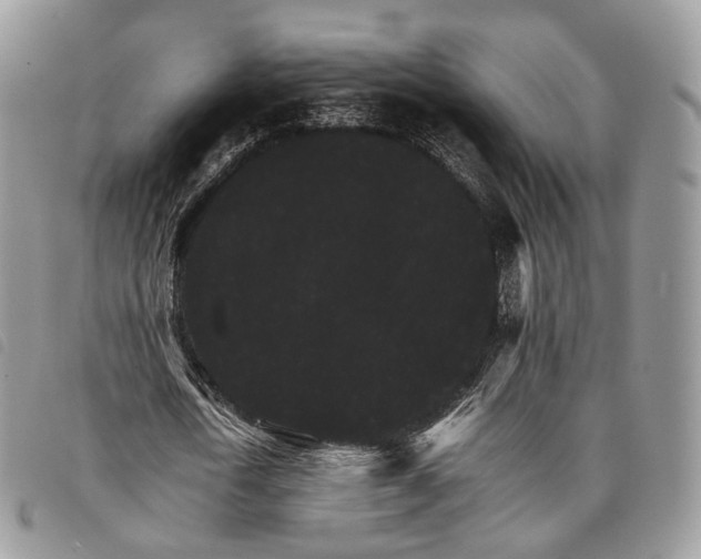 X0000098040722200804071440