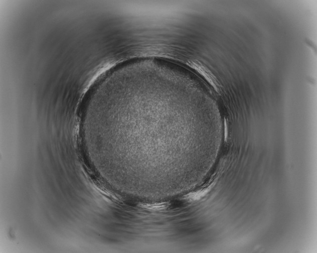 X0000098040723200804071440
