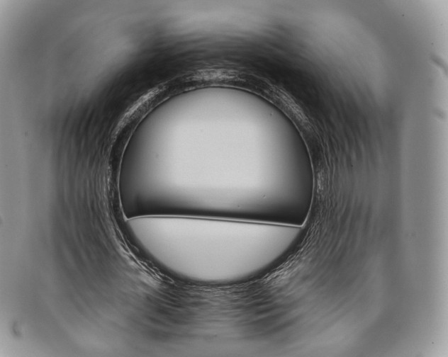 X0000098040724200804071440