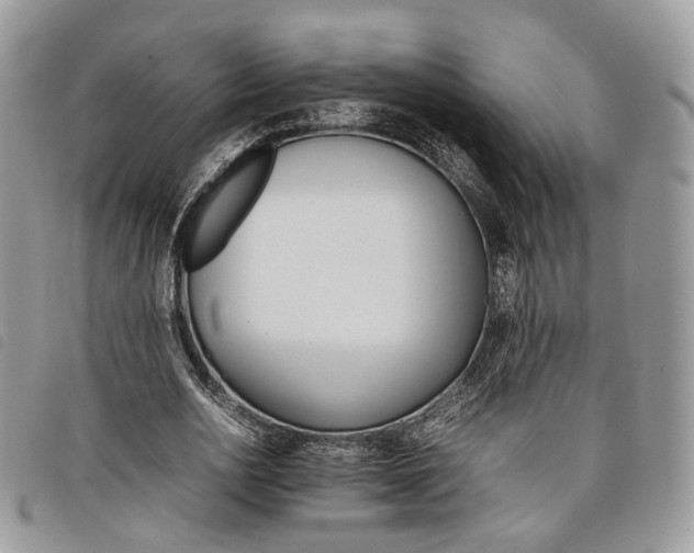 X0000098040726200804071440