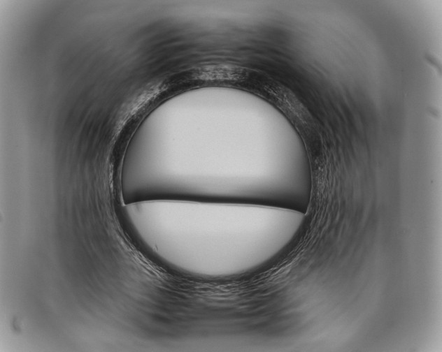 X0000098040727200804071440