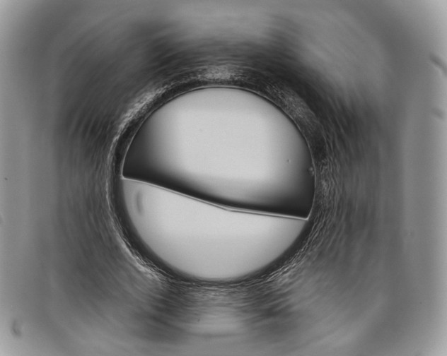 X0000098040728200804071440