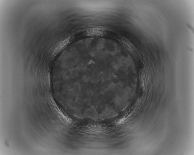 X0000098040729200804071440