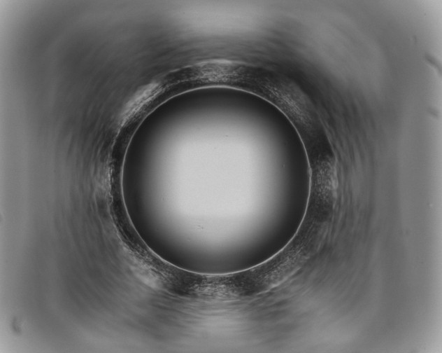 X0000098040730200804071441