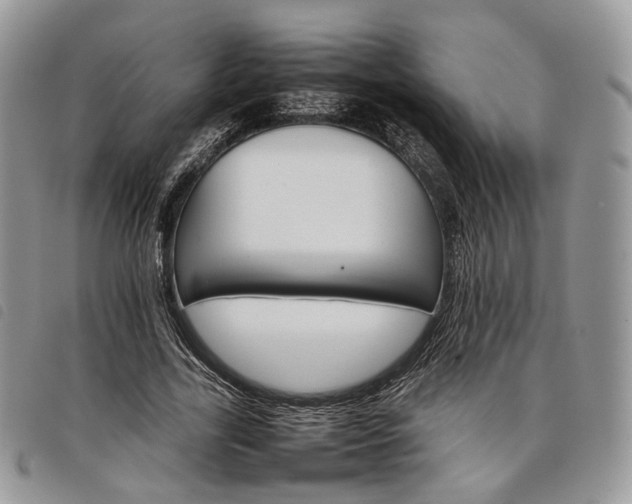 X0000098040731200804071441