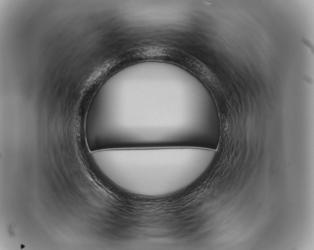 X0000098040732200804071441