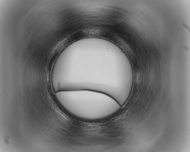 X0000098040733200804071441