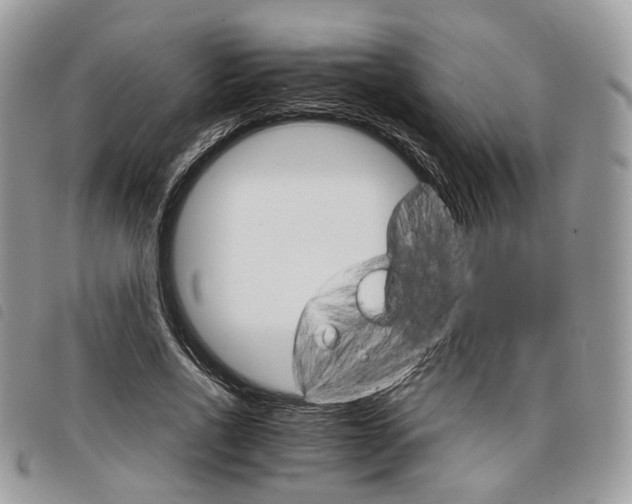 X0000098040734200804071441