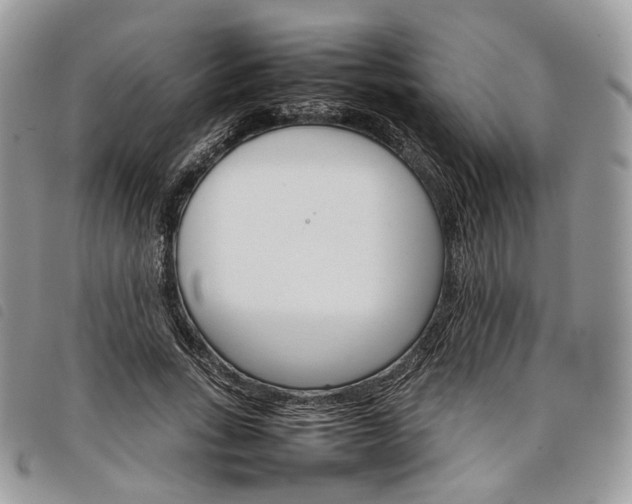 X0000098040735200804071441