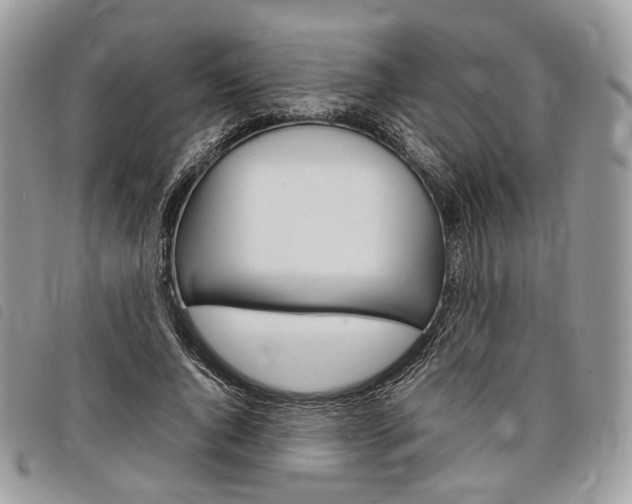 X0000098040736200804071441