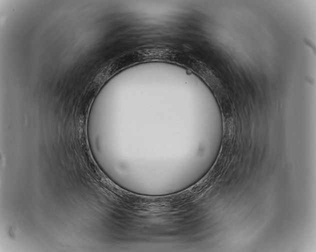X0000098040737200804071441