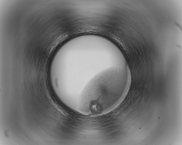 X0000098040738200804071441