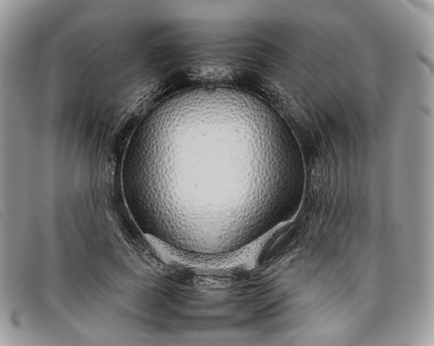 X0000098040739200804071441