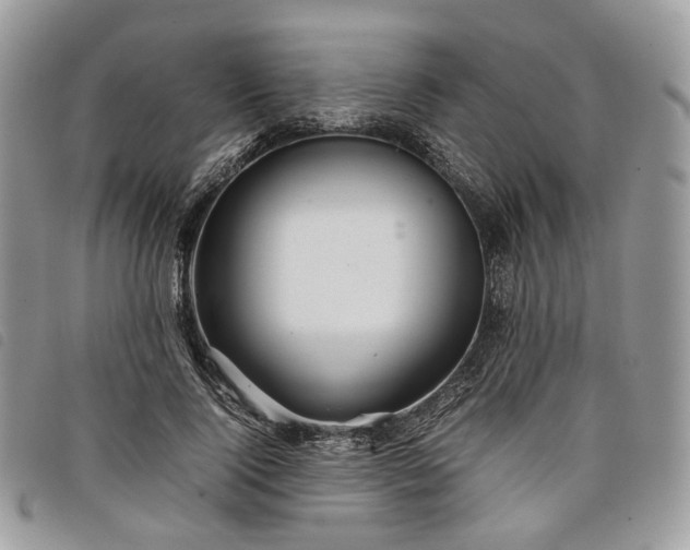 X0000098040740200804071441
