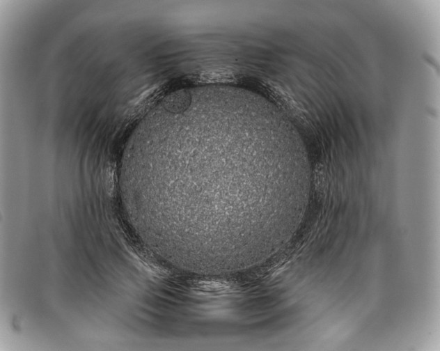 X0000098040741200804071441