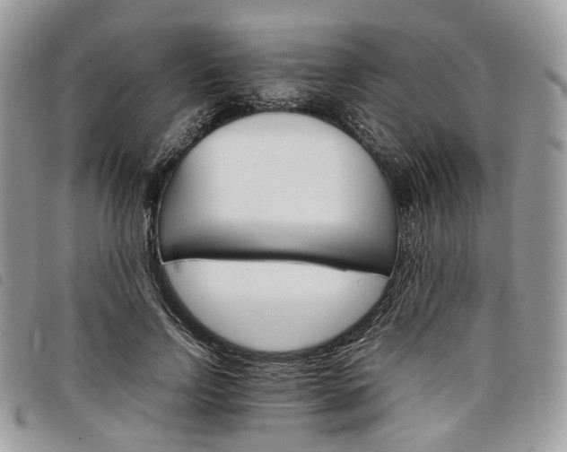X0000098040742200804071441