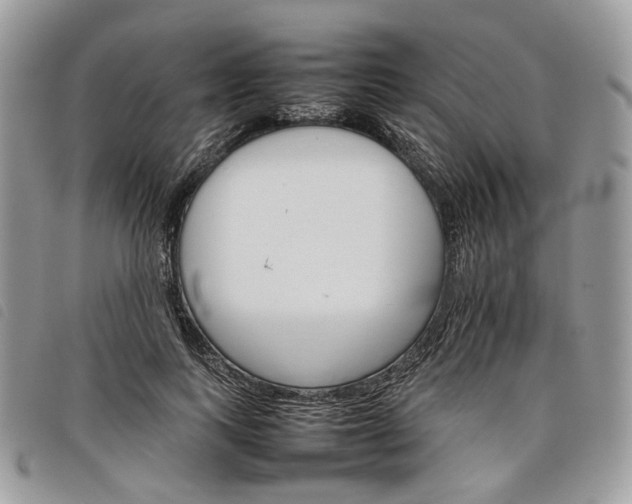 X0000098040743200804071441