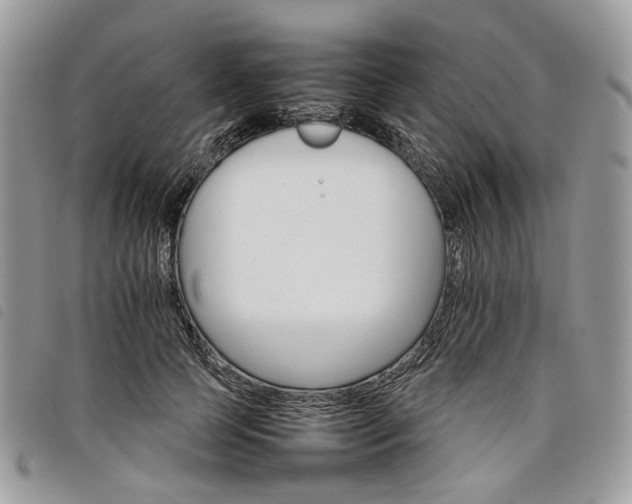 X0000098040745200804071441