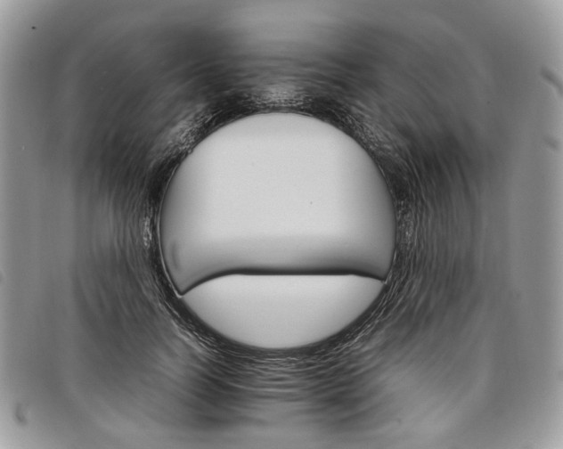 X0000098040746200804071441