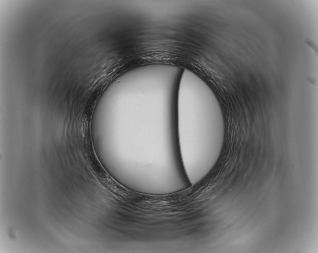 X0000098040747200804071441