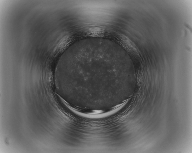 X0000098040748200804071441