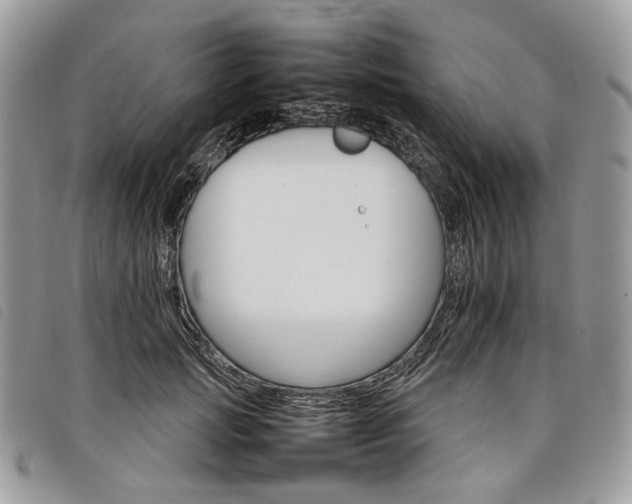 X0000098040749200804071441