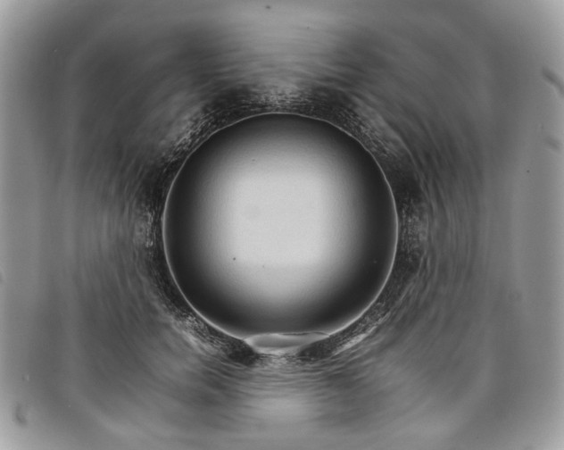 X0000098040750200804071441