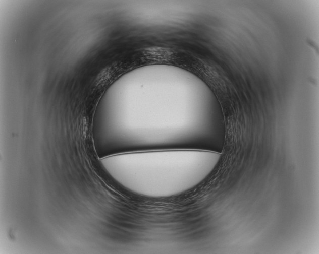 X0000098040752200804071441