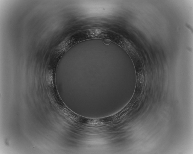 X0000098040754200804071441