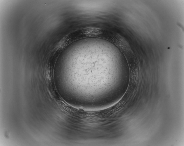 X0000098040755200804071441