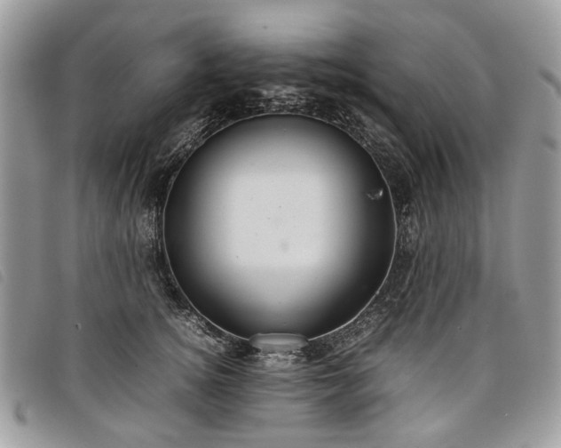 X0000098040756200804071441