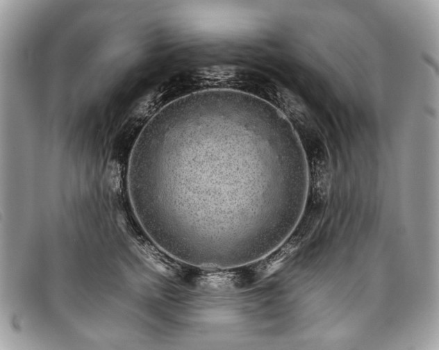 X0000098040758200804071441