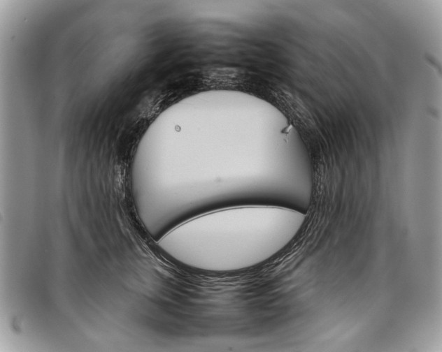 X0000098040759200804071441