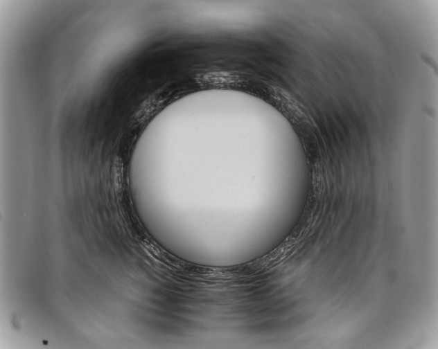 X0000098040760200804071441