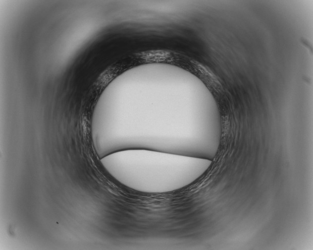 X0000098040761200804071441