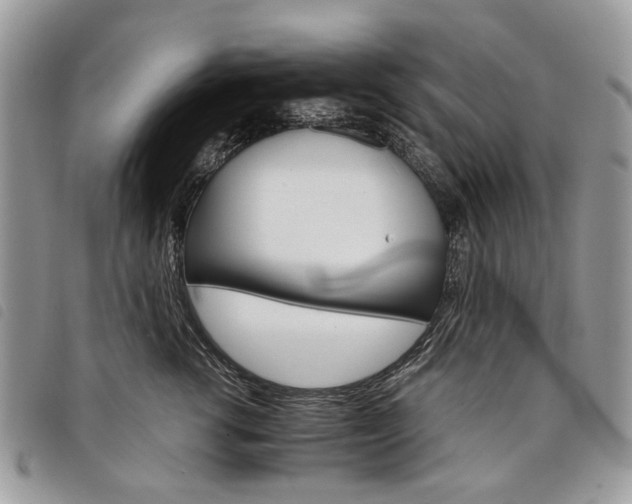 X0000098040762200804071441