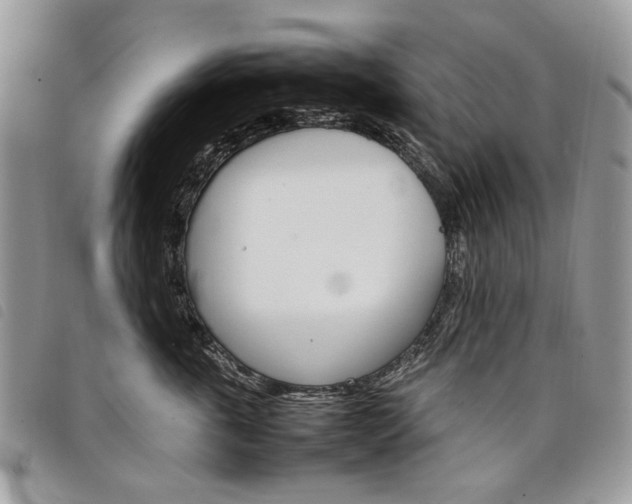 X0000098040763200804071441