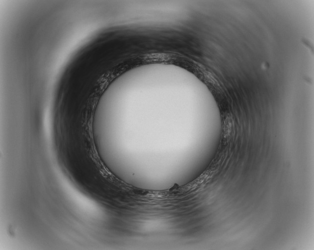 X0000098040764200804071441