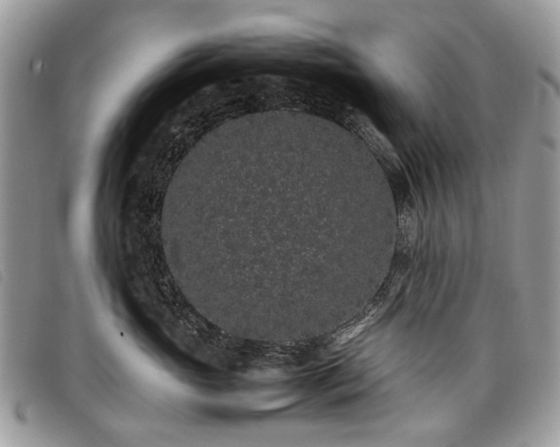 X0000098040765200804071441