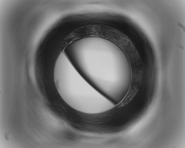 X0000098040766200804071441