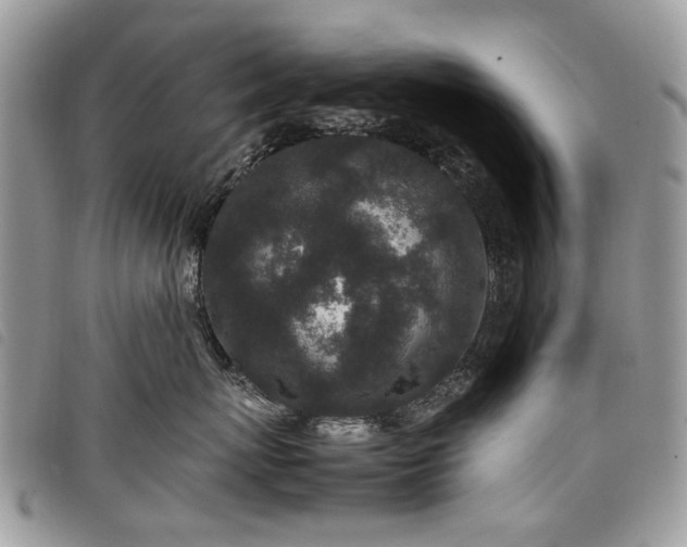 X0000098040767200804071441