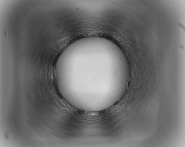 X0000098040768200804071441