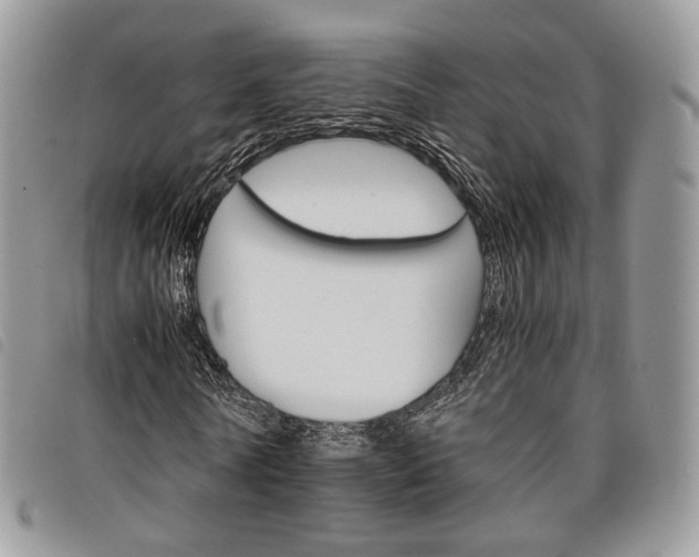 X0000098040770200804071440