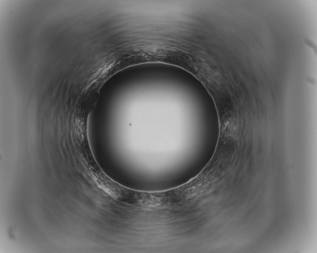 X0000098040772200804071440
