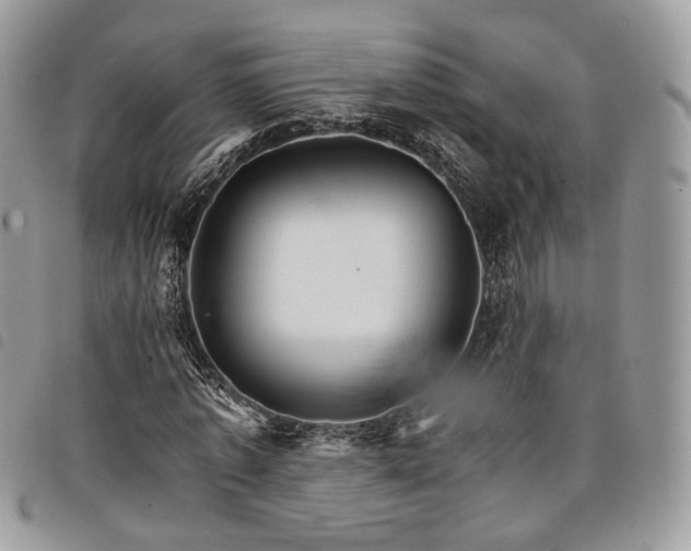 X0000098040773200804071440